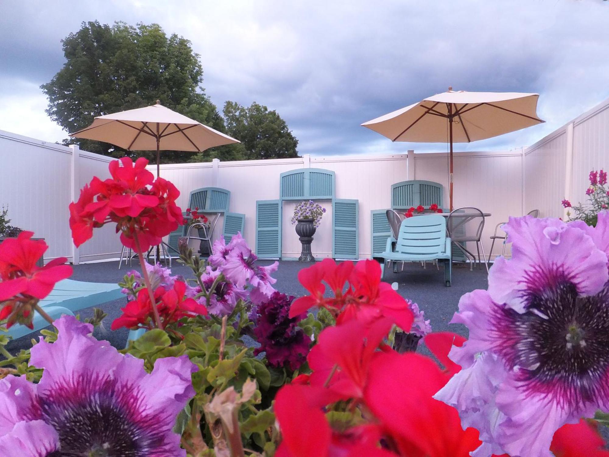 Windsor Motel Лейк Джордж Екстериор снимка